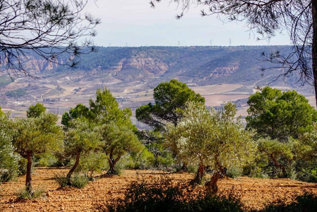 De Felipe Casa Rural Орче Экстерьер фото